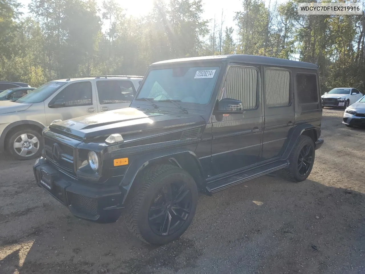 WDCYC7DF1EX219916 2014 Mercedes-Benz G 63 Amg