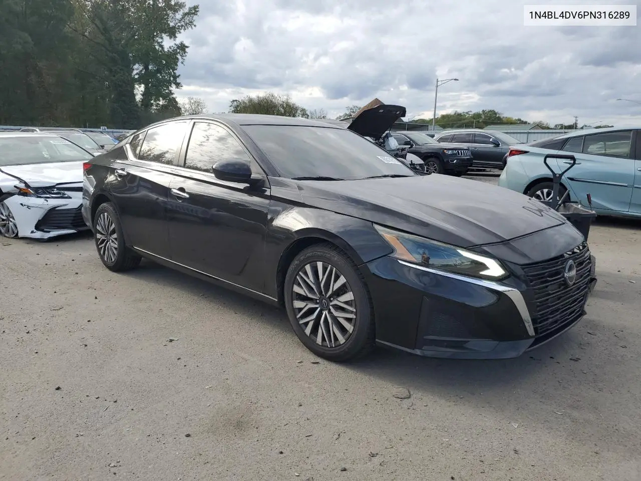 1N4BL4DV6PN316289 2023 Nissan Altima Sv