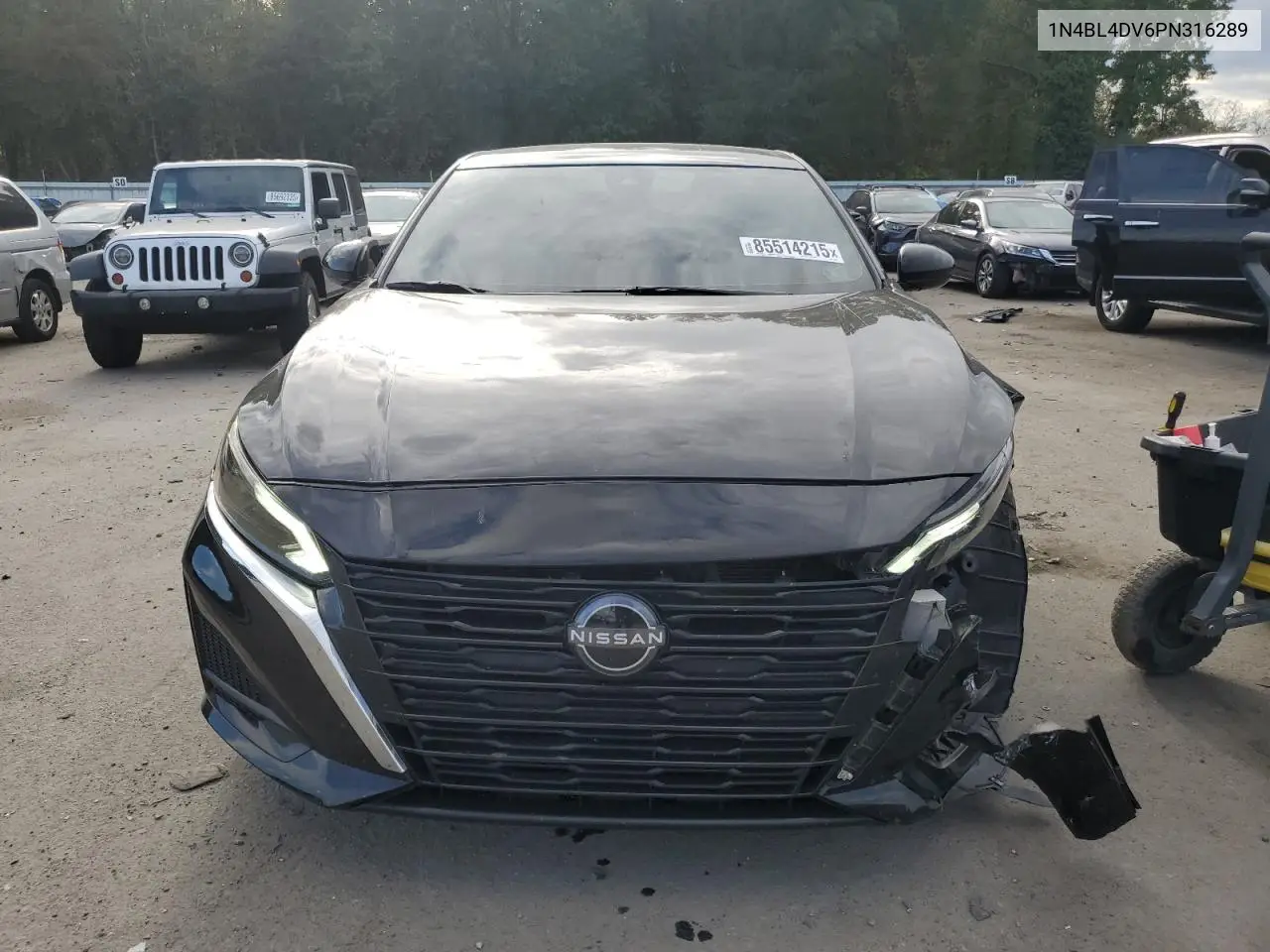 1N4BL4DV6PN316289 2023 Nissan Altima Sv
