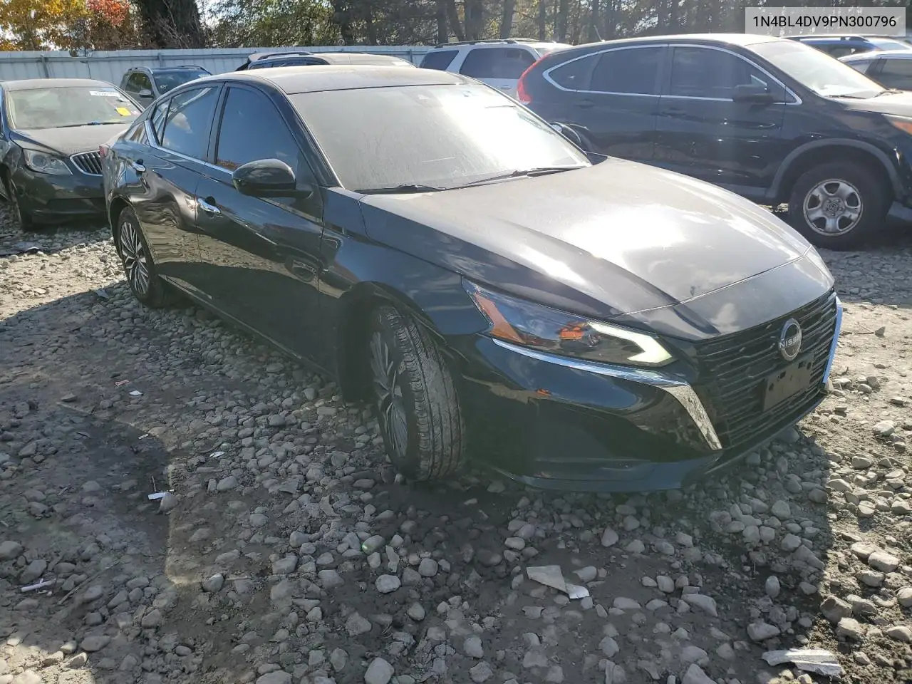 1N4BL4DV9PN300796 2023 Nissan Altima Sv