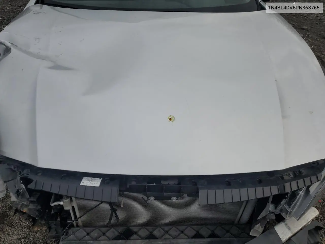 1N4BL4DV5PN363765 2023 Nissan Altima Sv