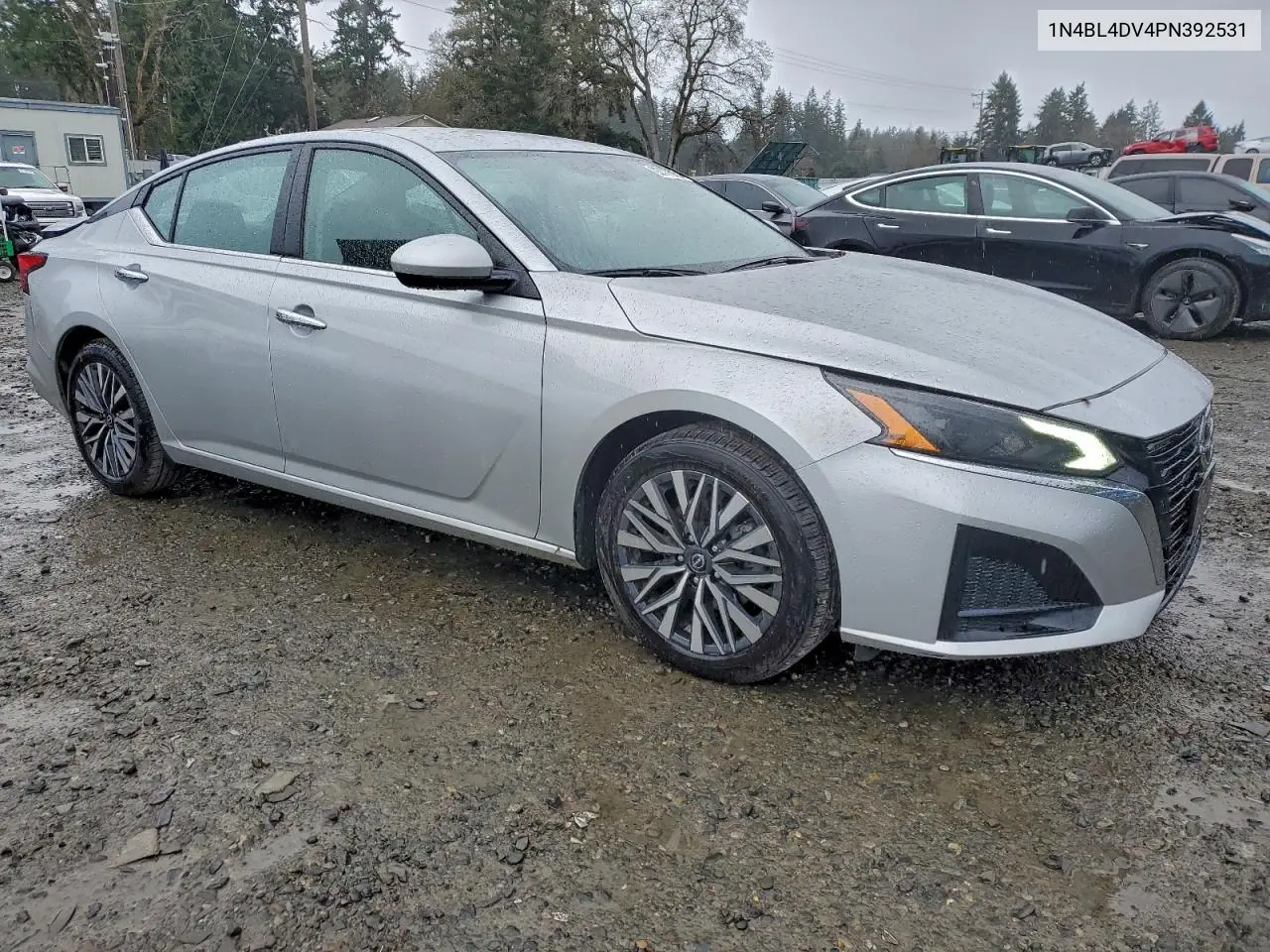 1N4BL4DV4PN392531 2023 Nissan Altima Sv