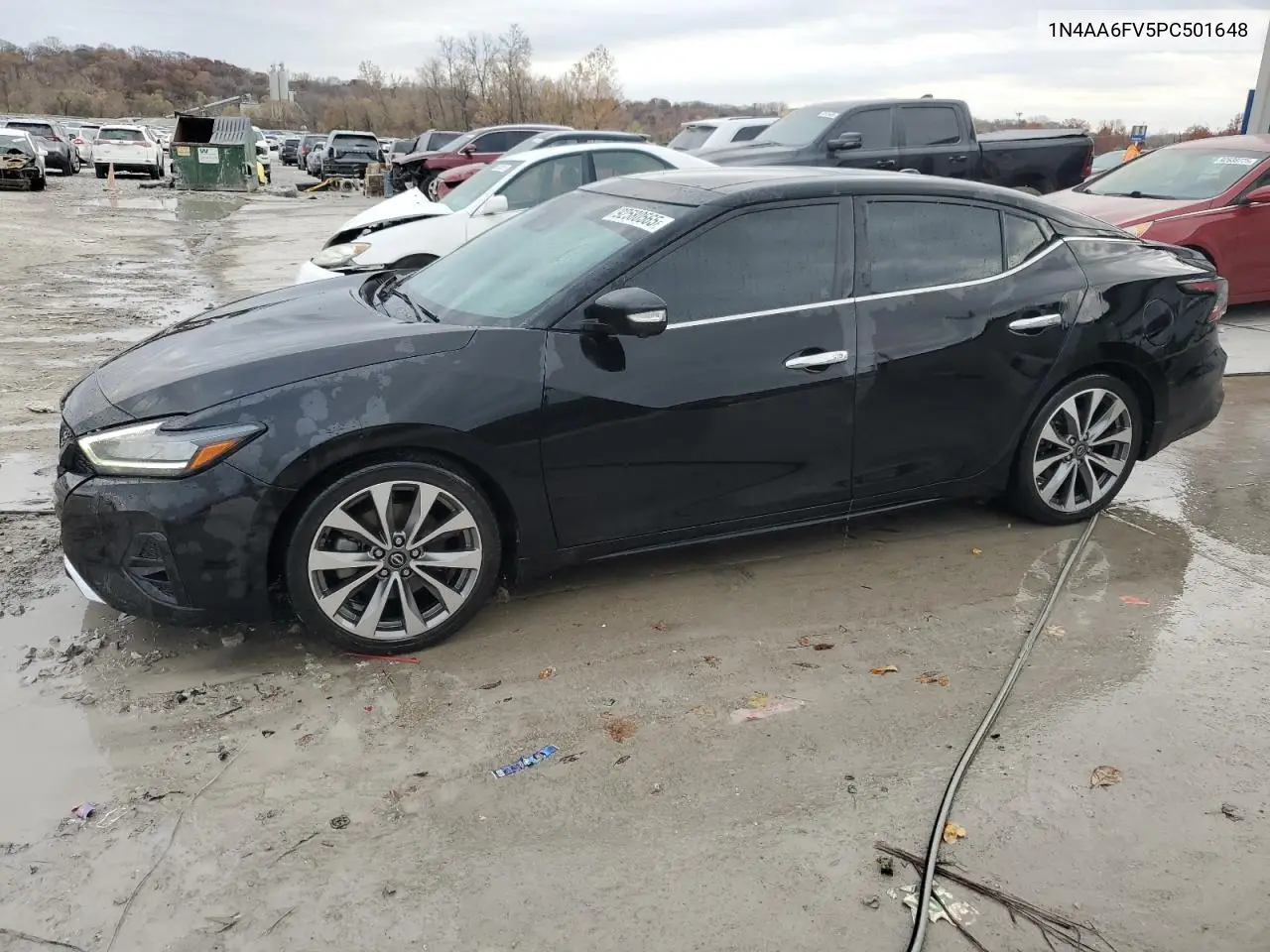 1N4AA6FV5PC501648 2023 Nissan Maxima Platinum