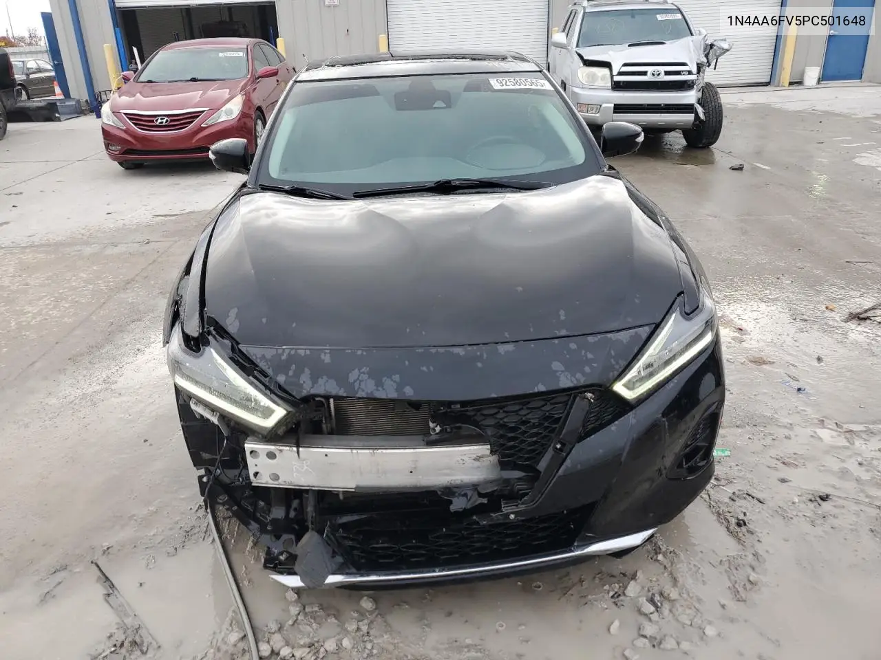 1N4AA6FV5PC501648 2023 Nissan Maxima Platinum