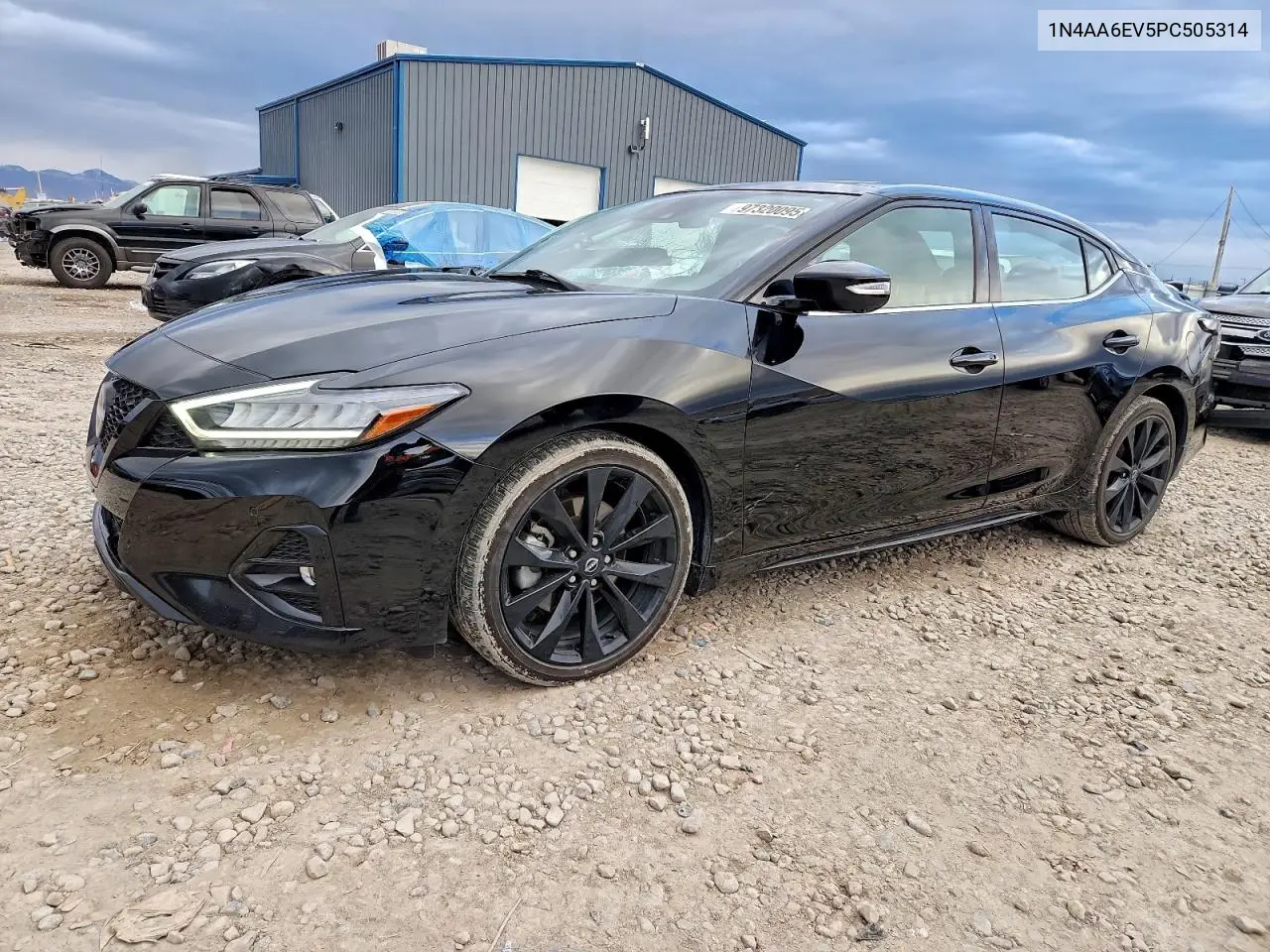 1N4AA6EV5PC505314 2023 Nissan Maxima Sr