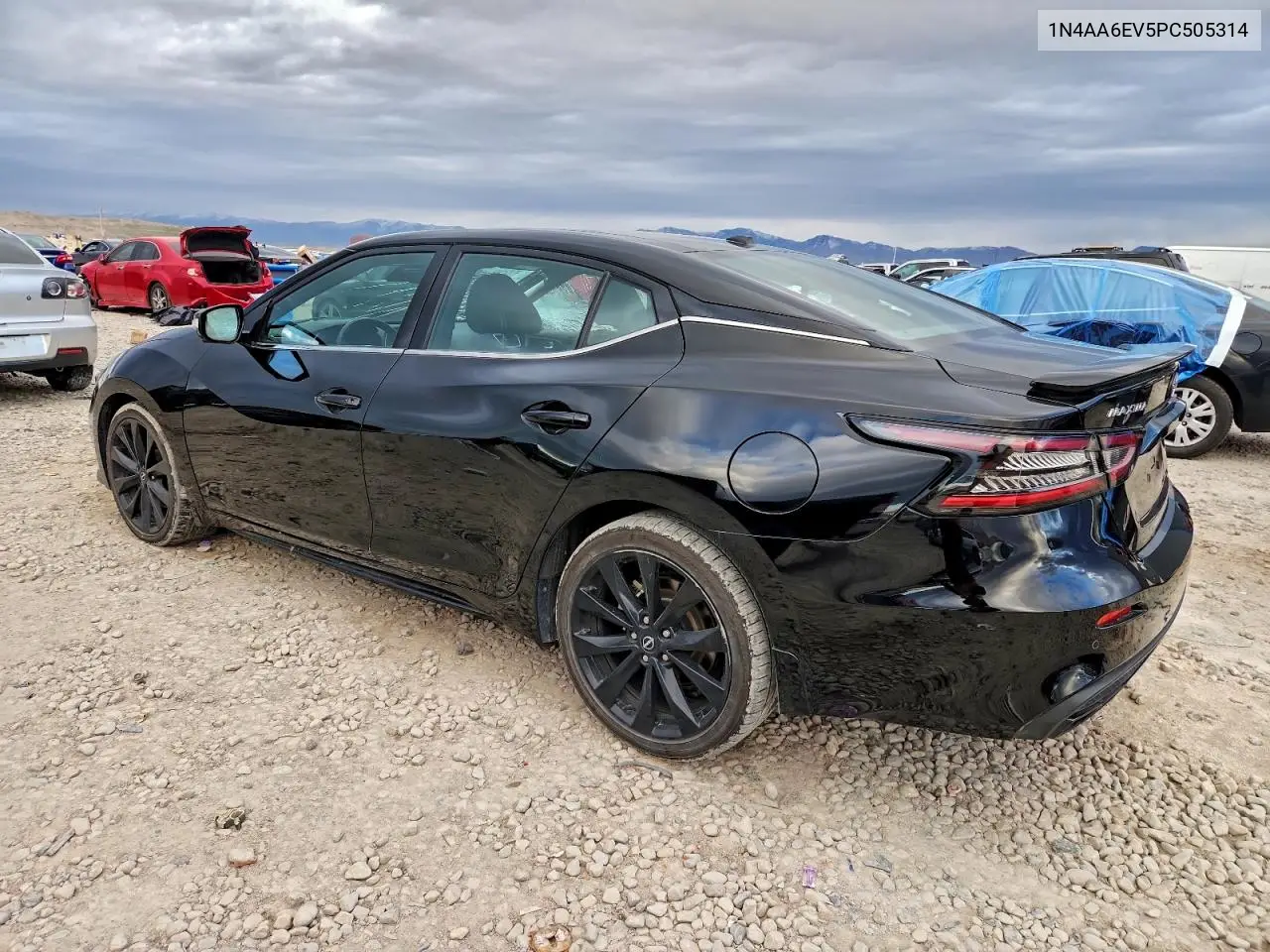 1N4AA6EV5PC505314 2023 Nissan Maxima Sr