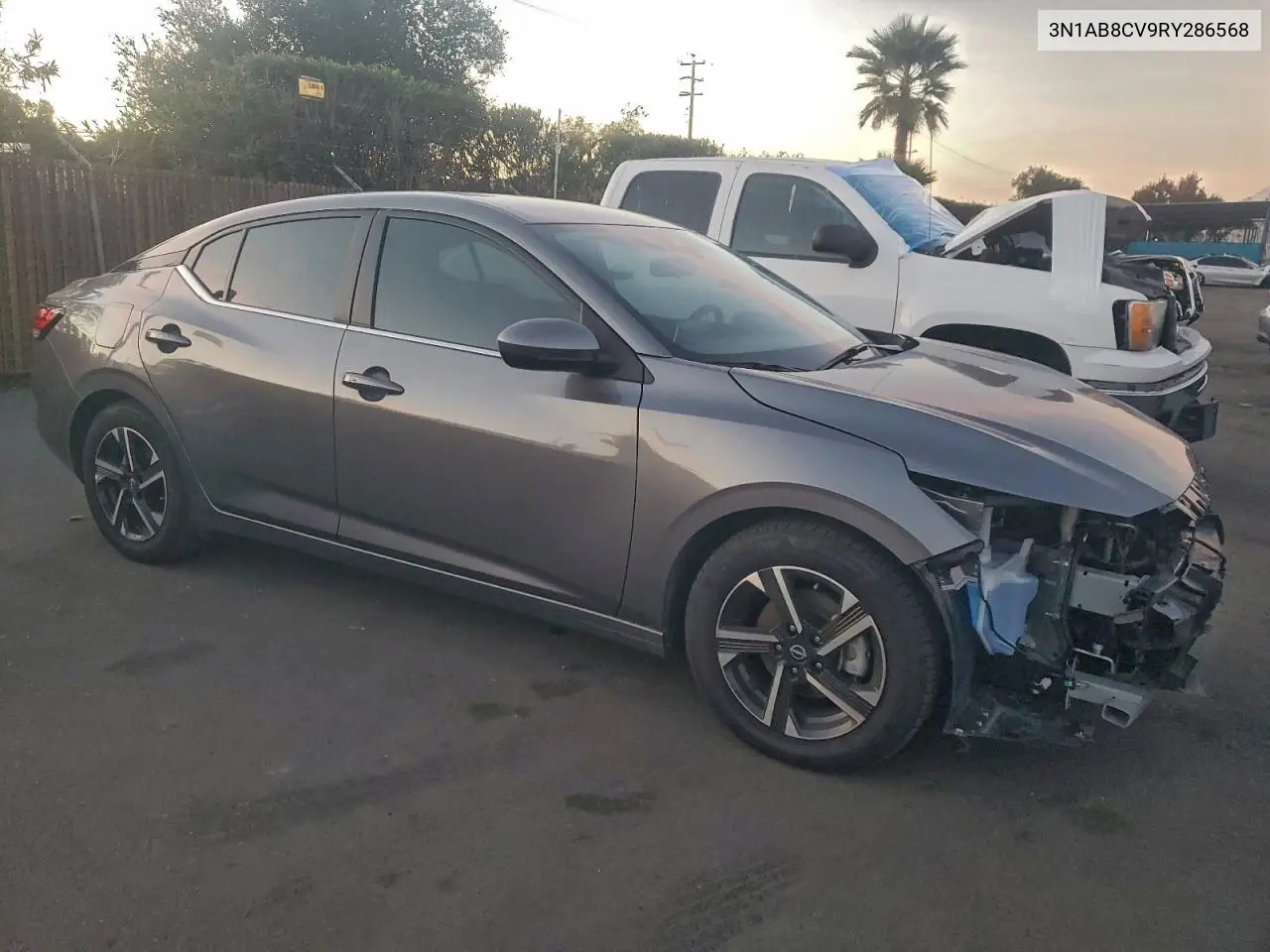 3N1AB8CV9RY286568 2024 Nissan Sentra Sv