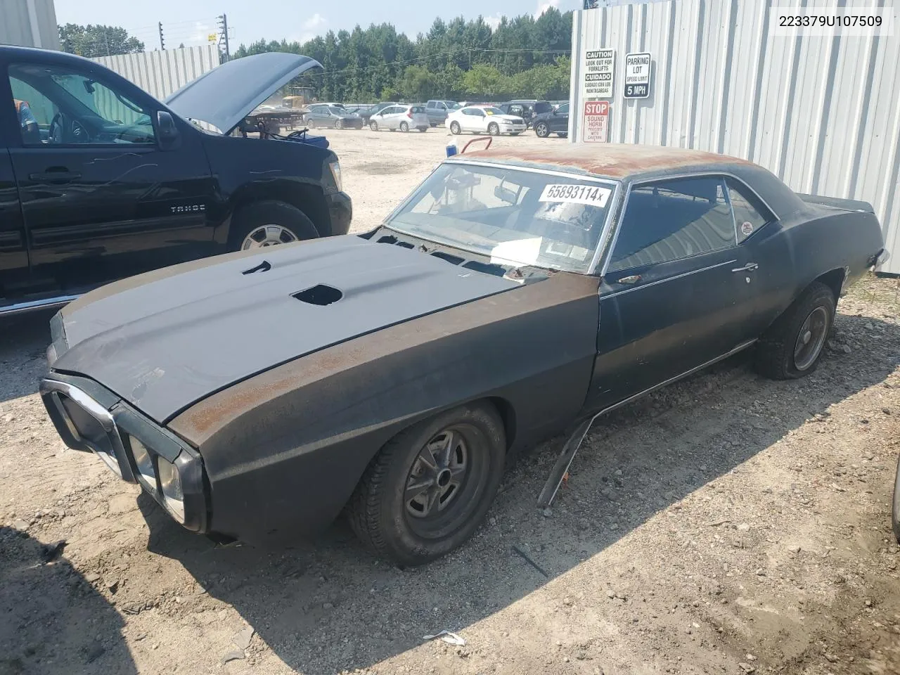 223379U107509 1969 Pontiac Firebird