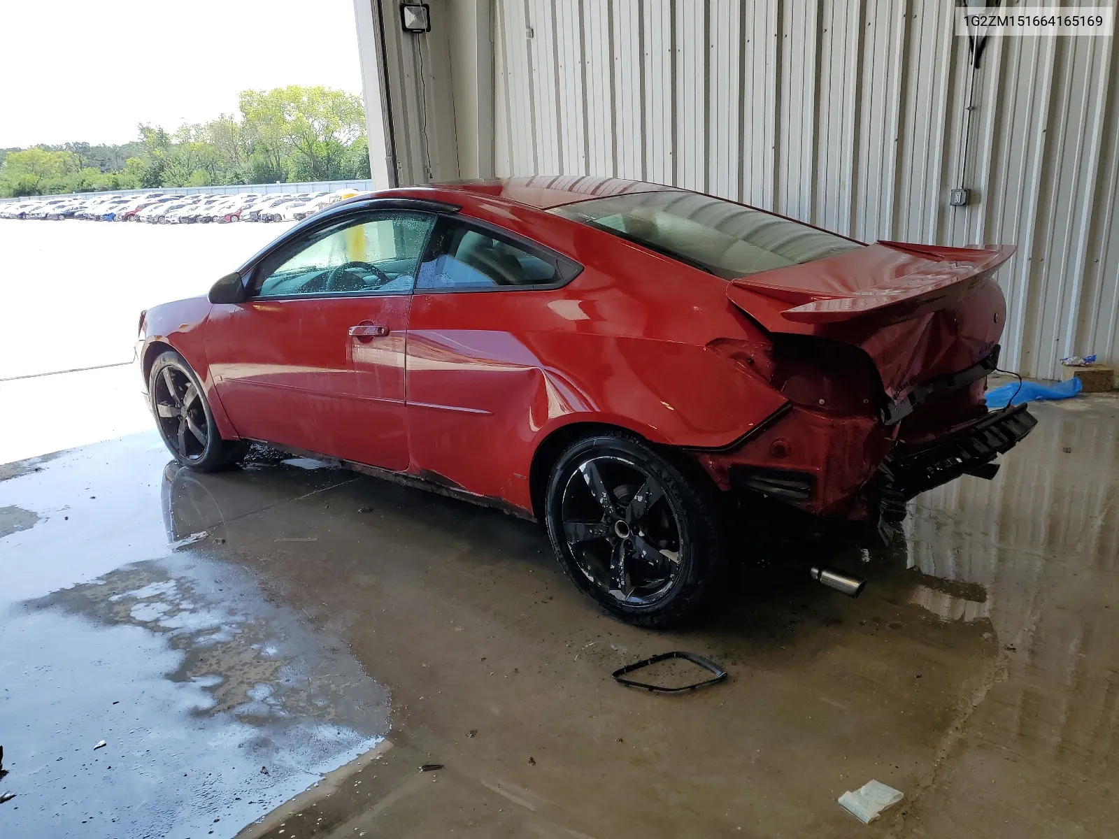 2006 Pontiac G6 Gtp VIN: 1G2ZM151664165169 Lot: 62855514