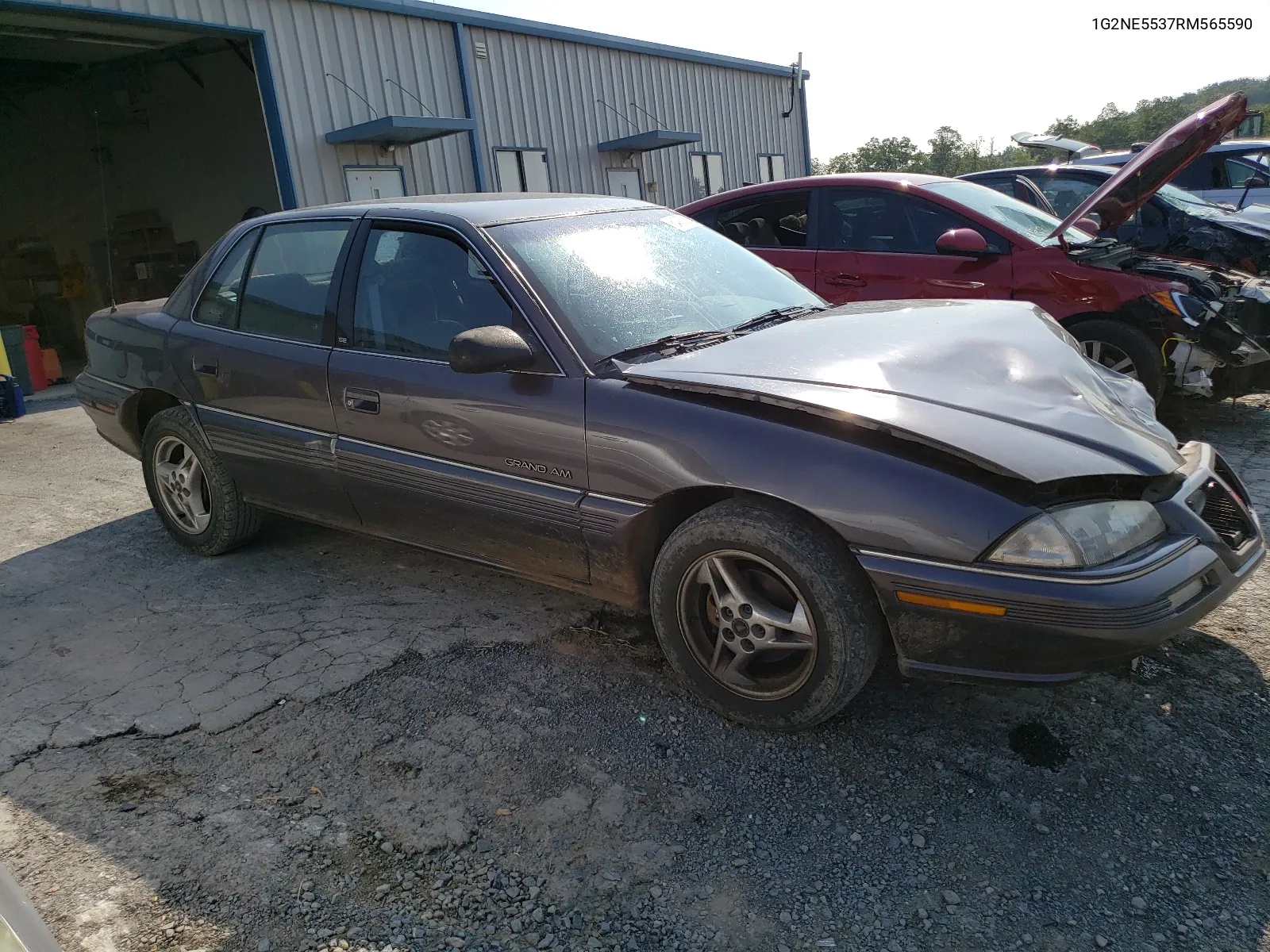 1994 Pontiac Grand Am Se VIN: 1G2NE5537RM565590 Lot: 64957204