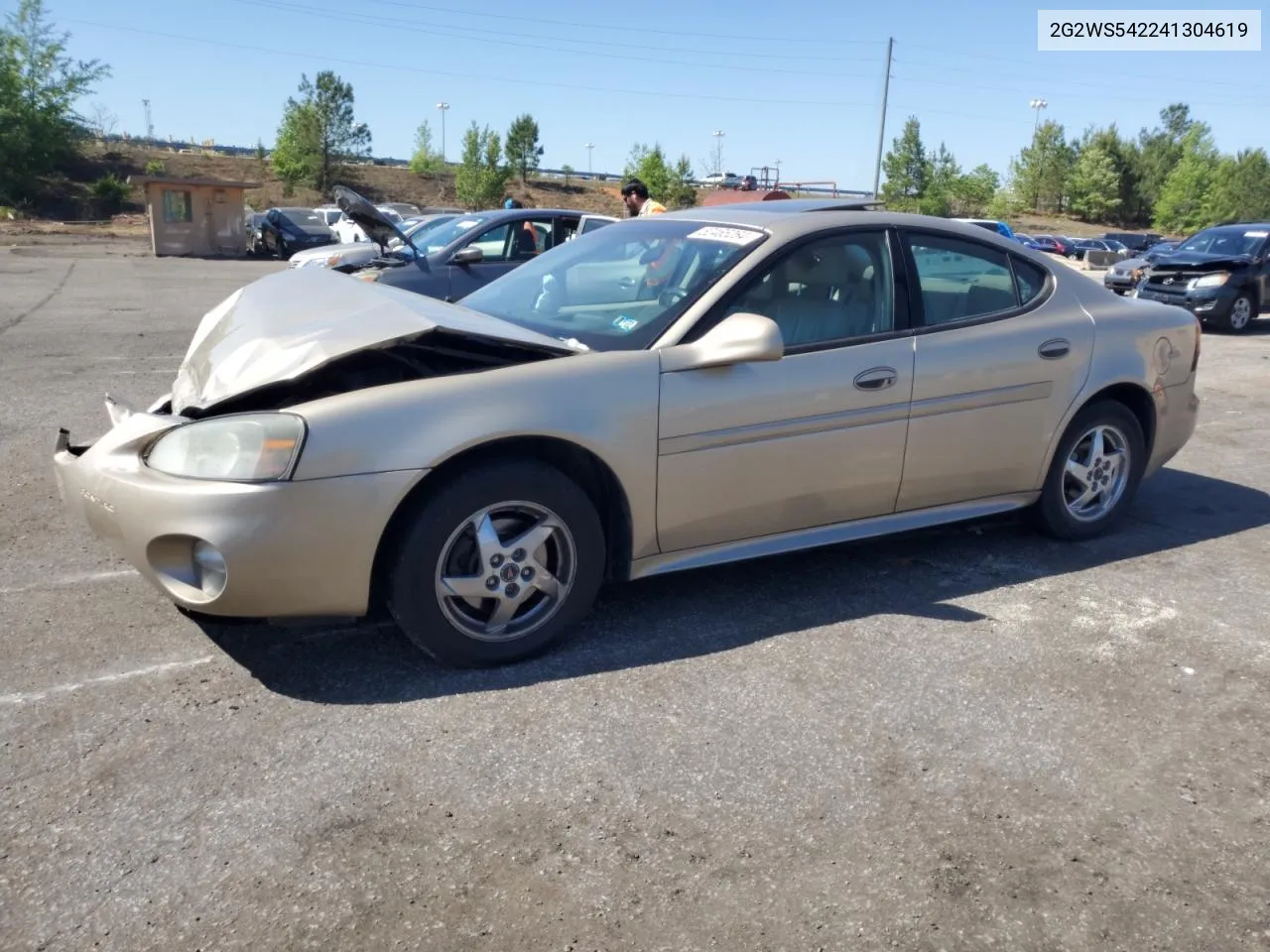 2004 Pontiac Grand Prix Gt2 VIN: 2G2WS542241304619 Lot: 52465264