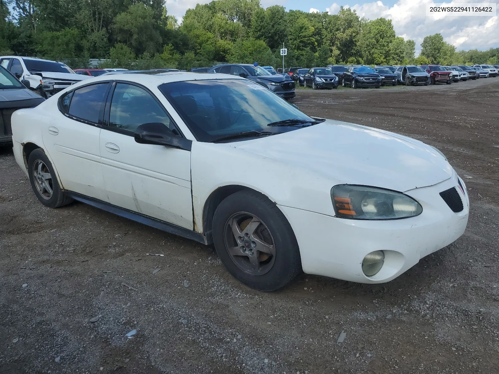 2004 Pontiac Grand Prix Gt2 VIN: 2G2WS522941126422 Lot: 64887114