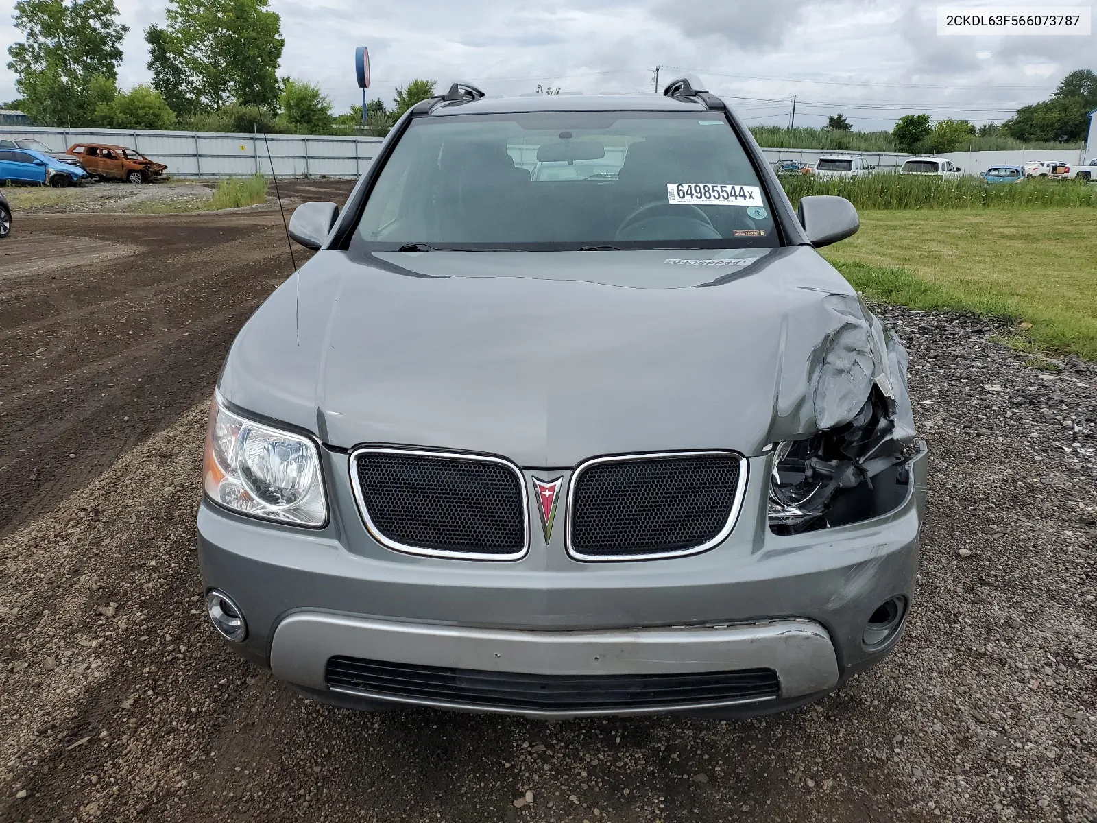 2006 Pontiac Torrent VIN: 2CKDL63F566073787 Lot: 64985544