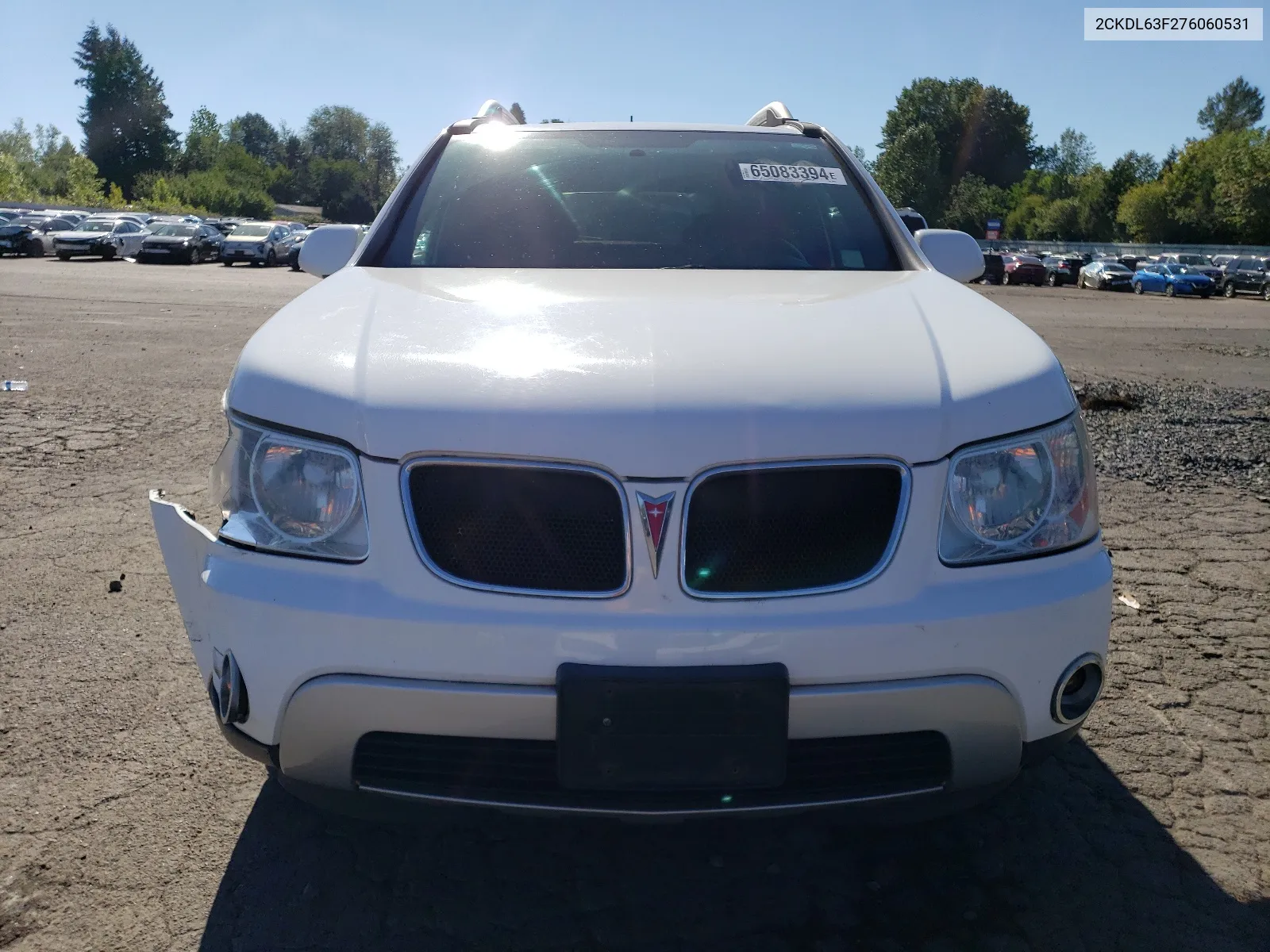 2007 Pontiac Torrent VIN: 2CKDL63F276060531 Lot: 65083394