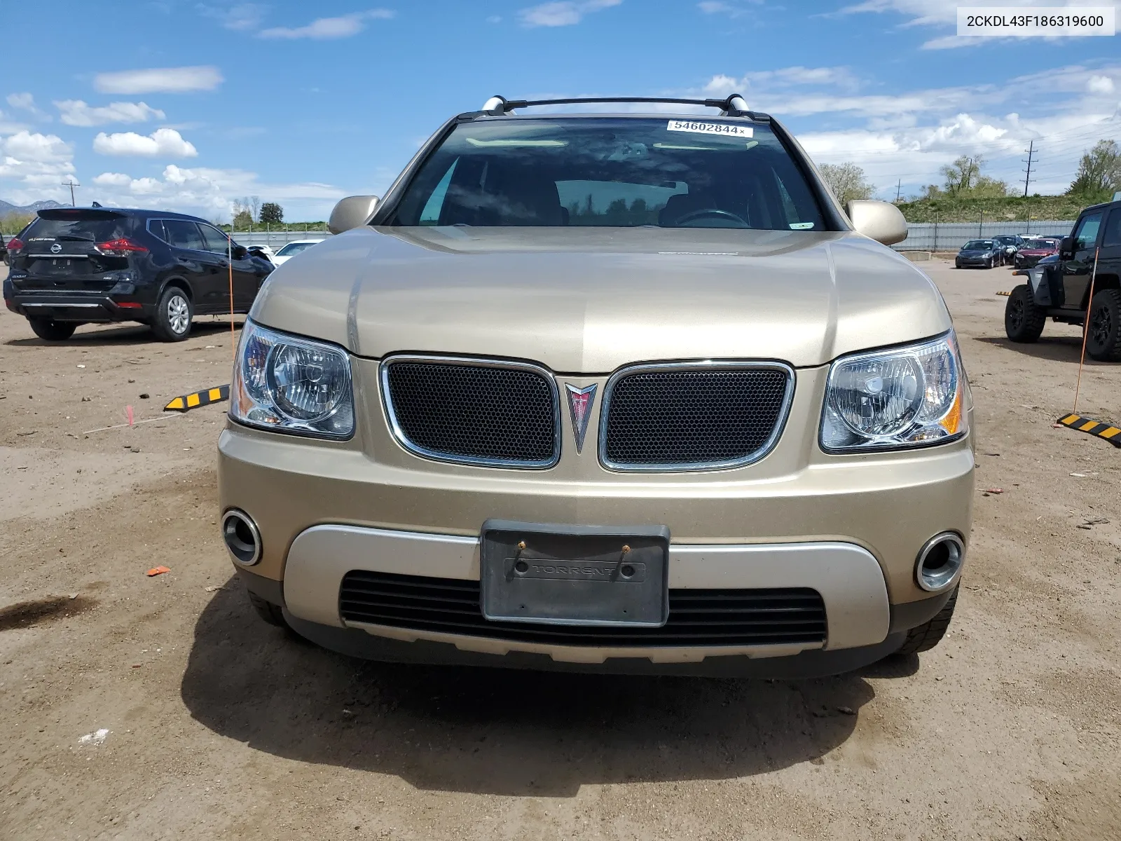 2008 Pontiac Torrent VIN: 2CKDL43F186319600 Lot: 54602844