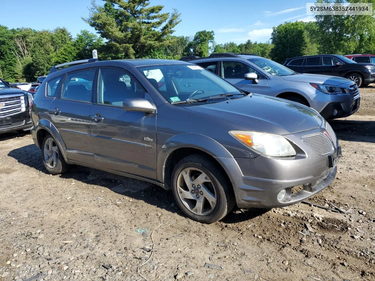 2005 Pontiac Vibe VIN: 5Y2SM63835Z441934 Lot: 58255774