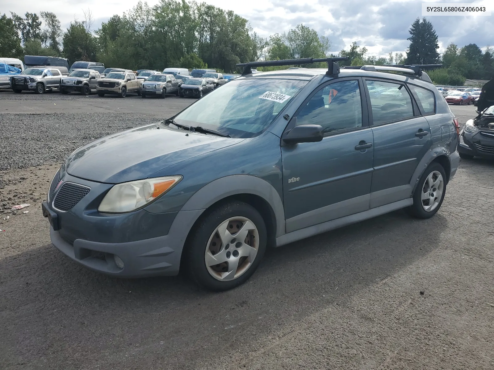 2006 Pontiac Vibe VIN: 5Y2SL65806Z406043 Lot: 68673934