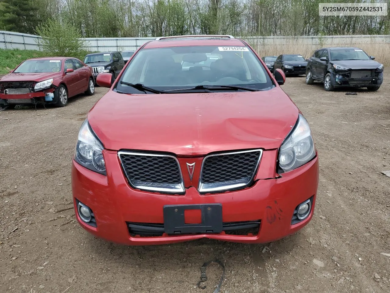 2009 Pontiac Vibe VIN: 5Y2SM67059Z442531 Lot: 52794204