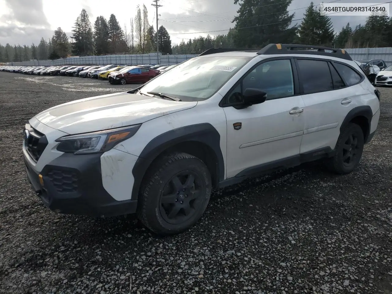 4S4BTGUD9R3142540 2024 Subaru Outback Wilderness