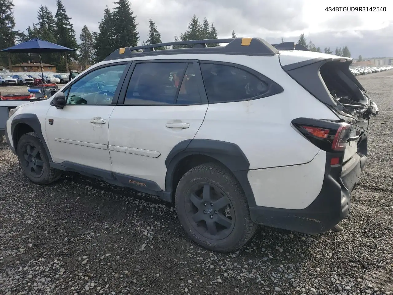 4S4BTGUD9R3142540 2024 Subaru Outback Wilderness