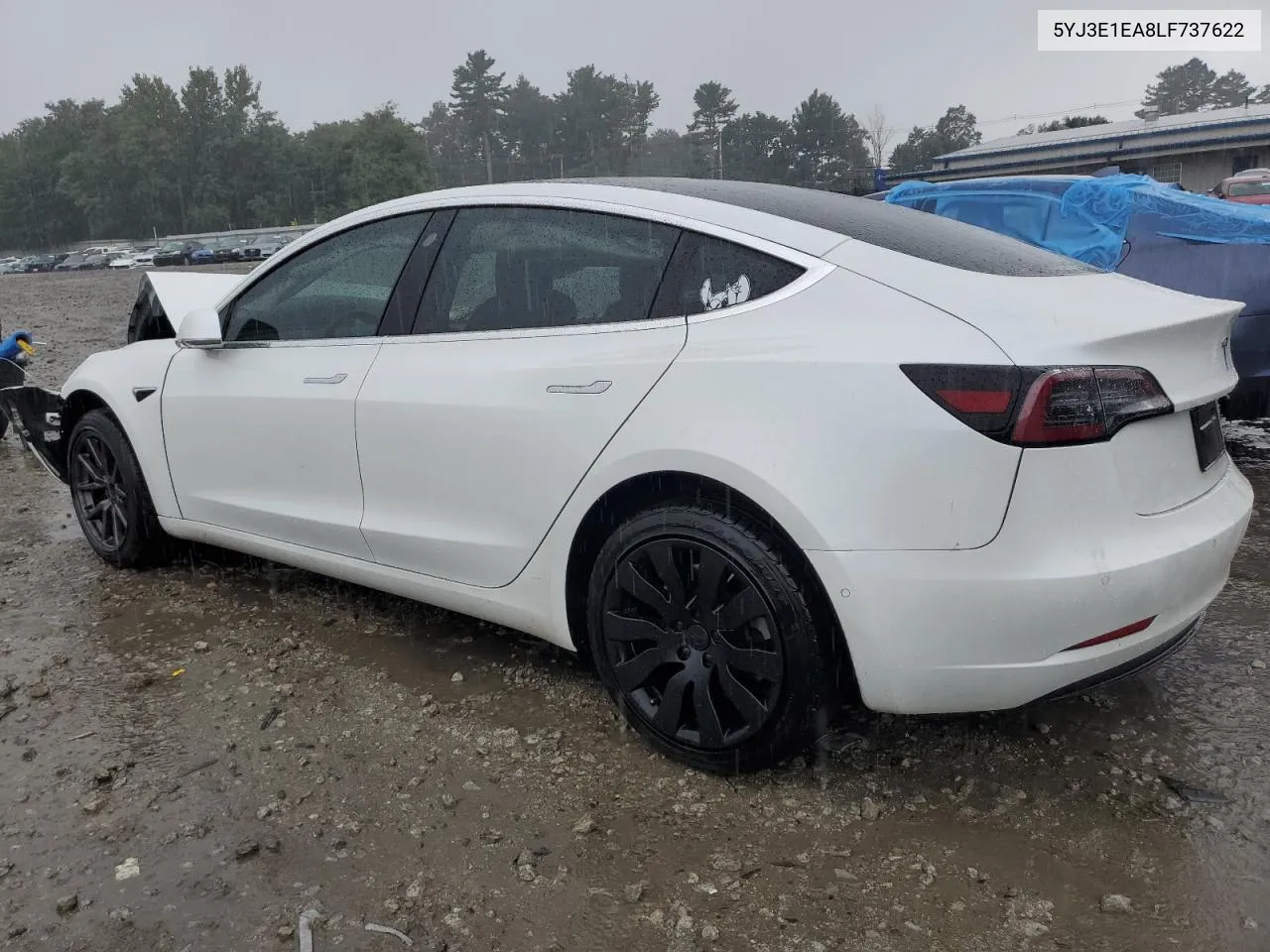 2020 Tesla Model 3 VIN: 5YJ3E1EA8LF737622 Lot: 68411733