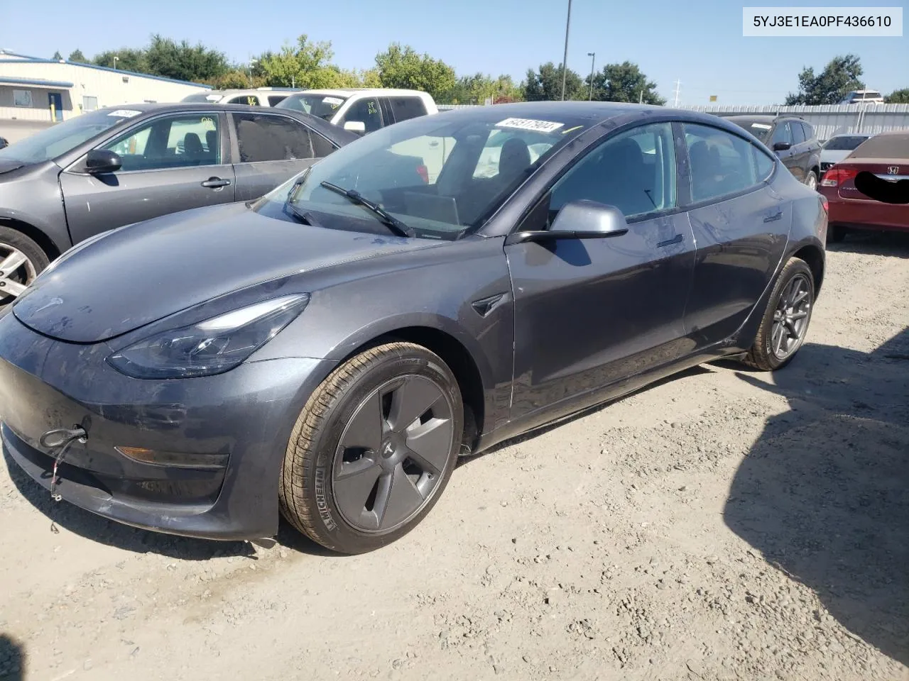 2023 Tesla Model 3 VIN: 5YJ3E1EA0PF436610 Lot: 64517904