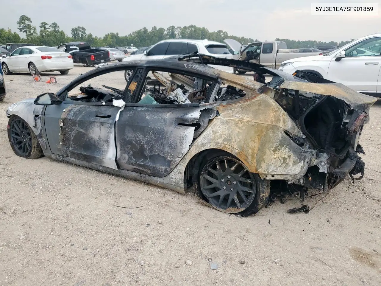 5YJ3E1EA7SF901859 2025 Tesla Model 3