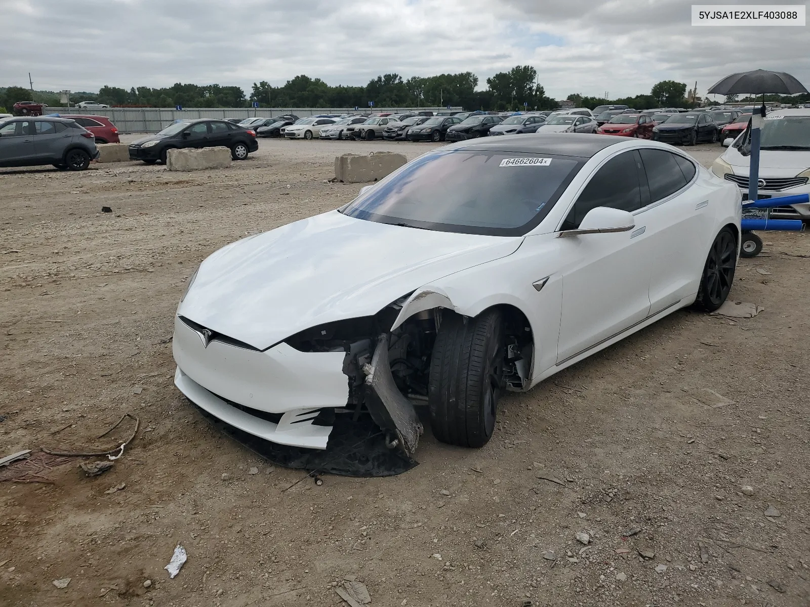 2020 Tesla Model S VIN: 5YJSA1E2XLF403088 Lot: 64662604