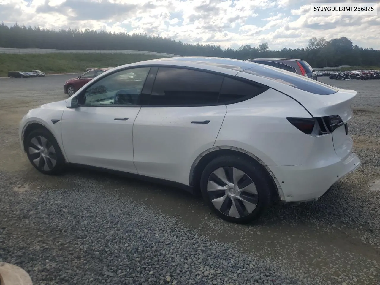 2021 Tesla Model Y VIN: 5YJYGDEE8MF256825 Lot: 72770934