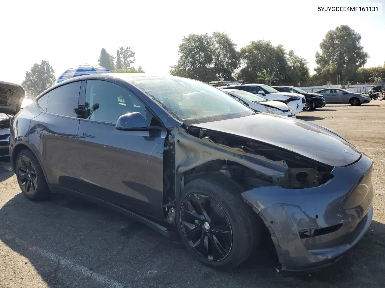 5YJYGDEE4MF161131 2021 Tesla Model Y