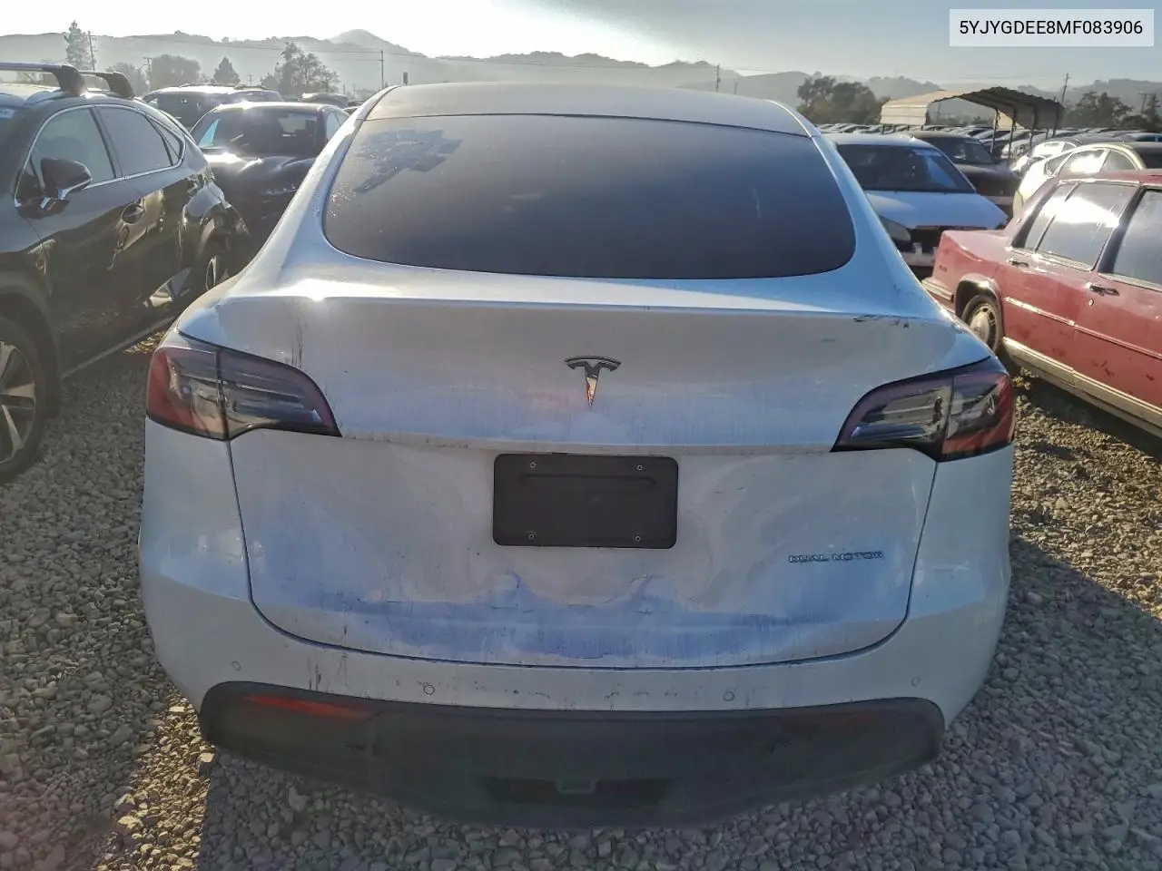 5YJYGDEE8MF083906 2021 Tesla Model Y