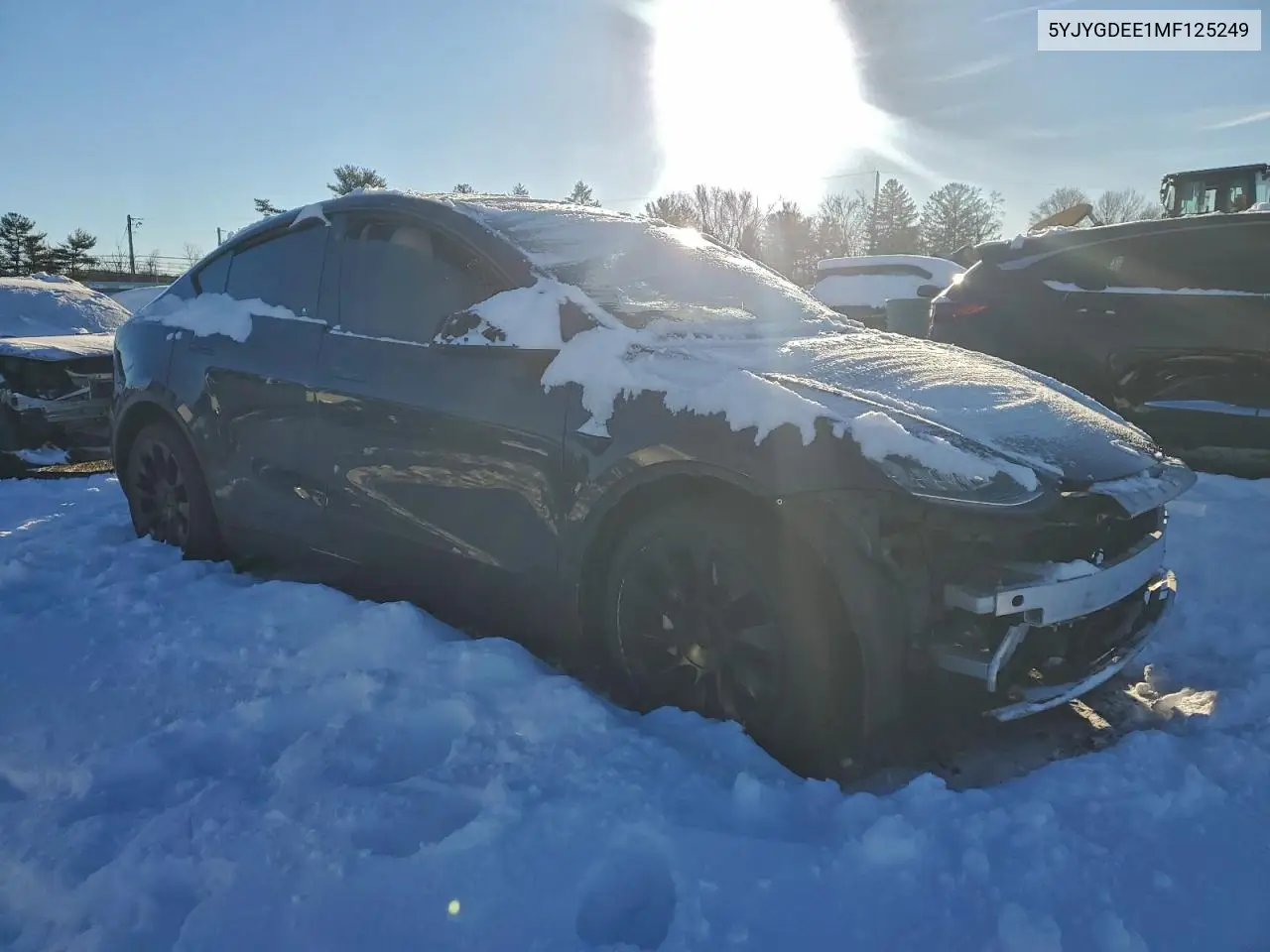 5YJYGDEE1MF125249 2021 Tesla Model Y