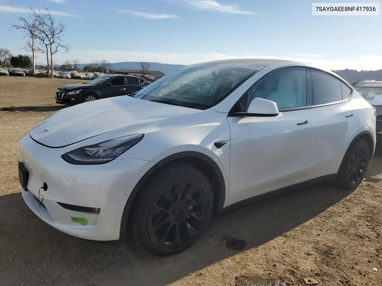 2022 Tesla Model Y