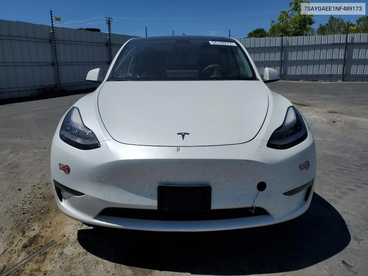 2022 Tesla Model Y VIN: 7SAYGAEE1NF489173 Lot: 54149274