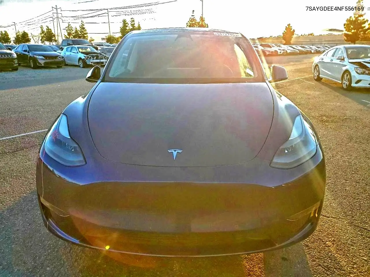 7SAYGDEE4NF556169 2022 Tesla Model Y