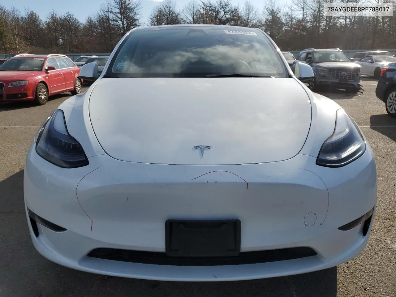 2023 Tesla Model Y VIN: 7SAYGDEE8PF788017 Lot: 47399354