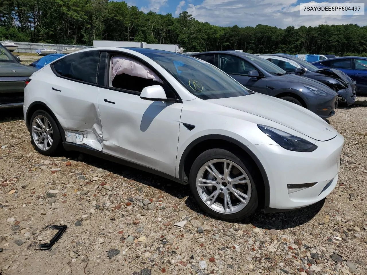 2023 Tesla Model Y VIN: 7SAYGDEE6PF604497 Lot: 59353264