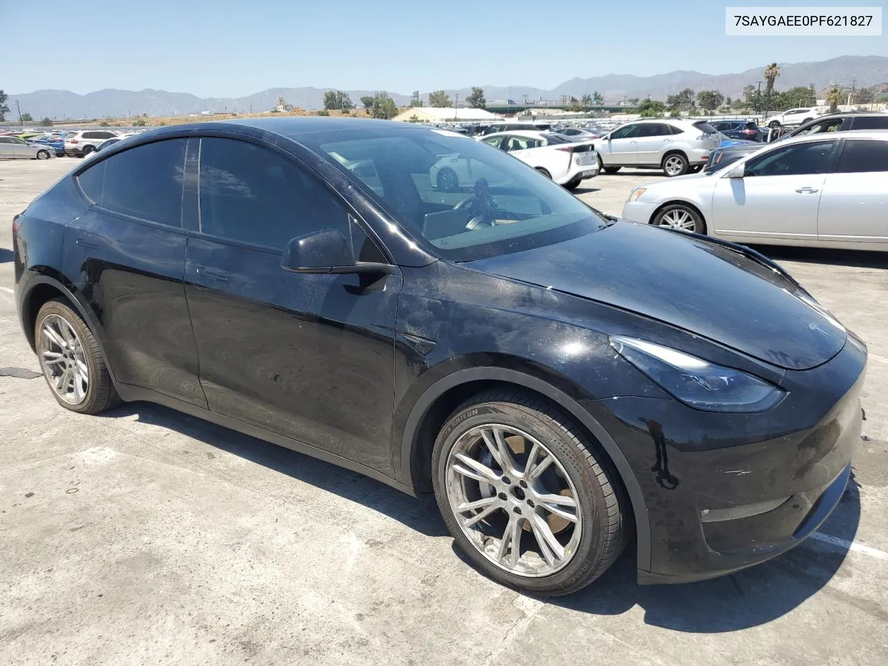 2023 Tesla Model Y VIN: 7SAYGAEE0PF621827 Lot: 60460294