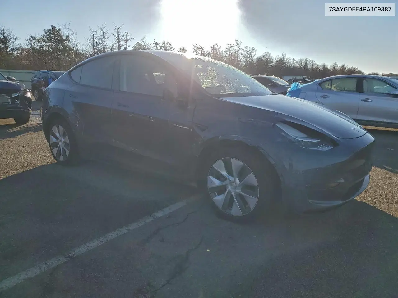 7SAYGDEE4PA109387 2023 Tesla Model Y