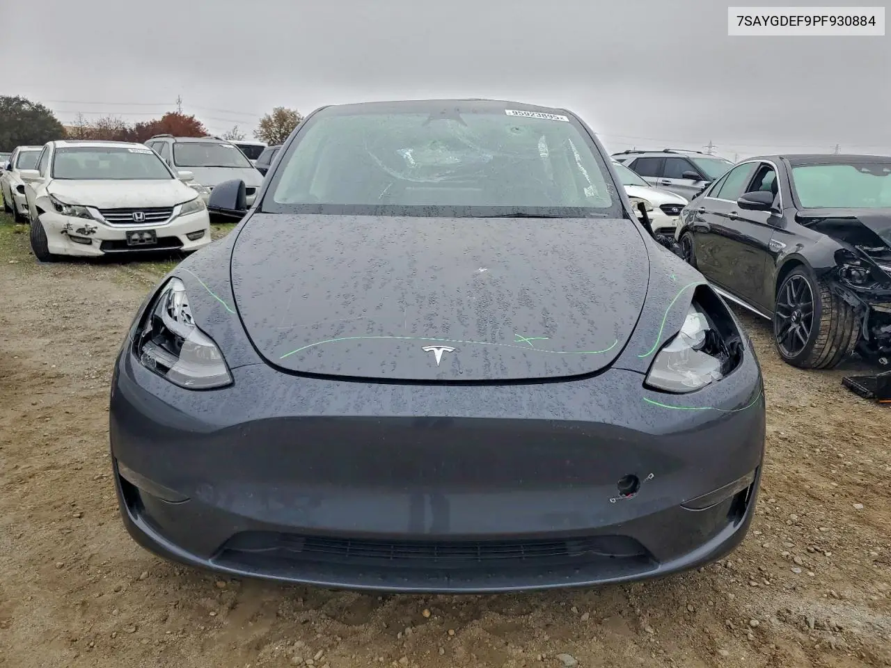 7SAYGDEF9PF930884 2023 Tesla Model Y