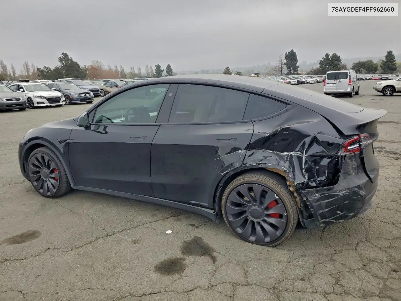 7SAYGDEF4PF962660 2023 Tesla Model Y