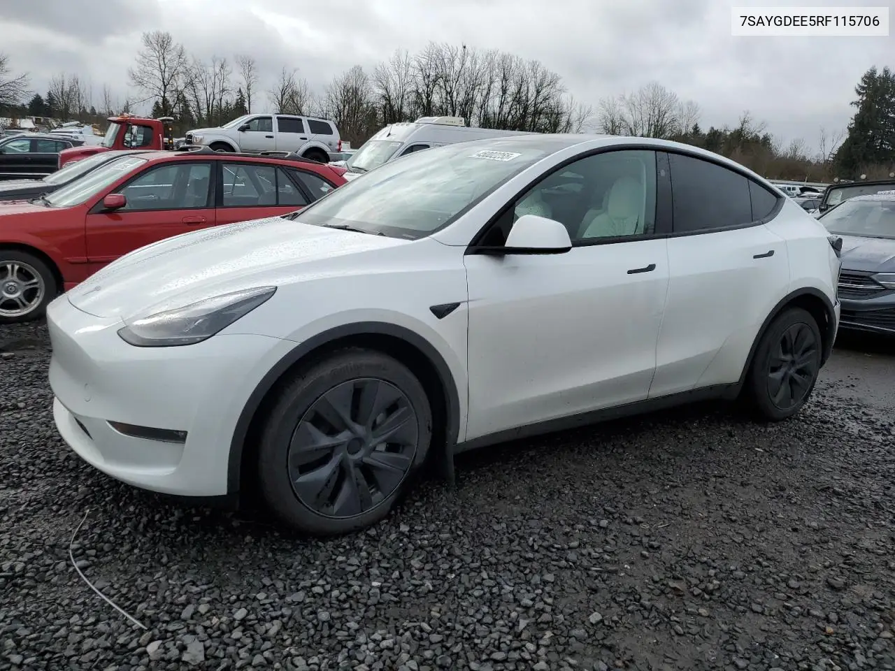 2024 Tesla Model Y