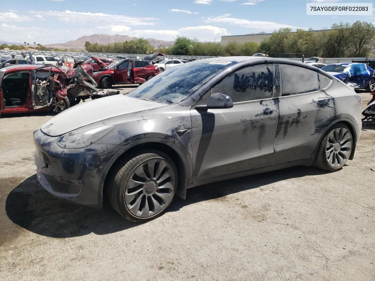 2024 Tesla Model Y VIN: 7SAYGDEF0RF022083 Lot: 68581634