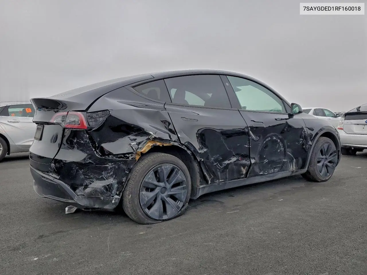 7SAYGDED1RF160018 2024 Tesla Model Y