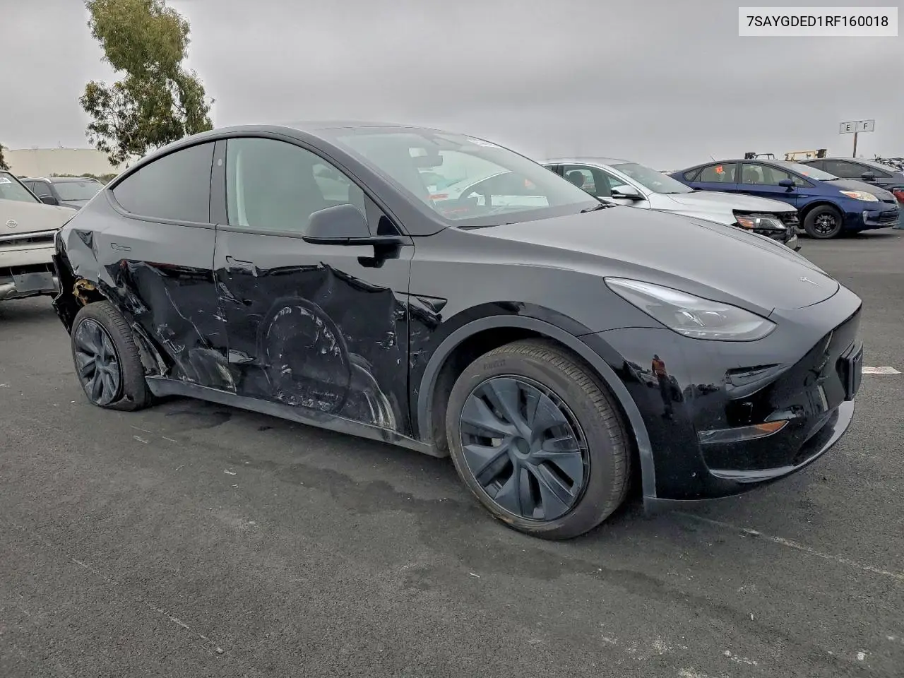 7SAYGDED1RF160018 2024 Tesla Model Y