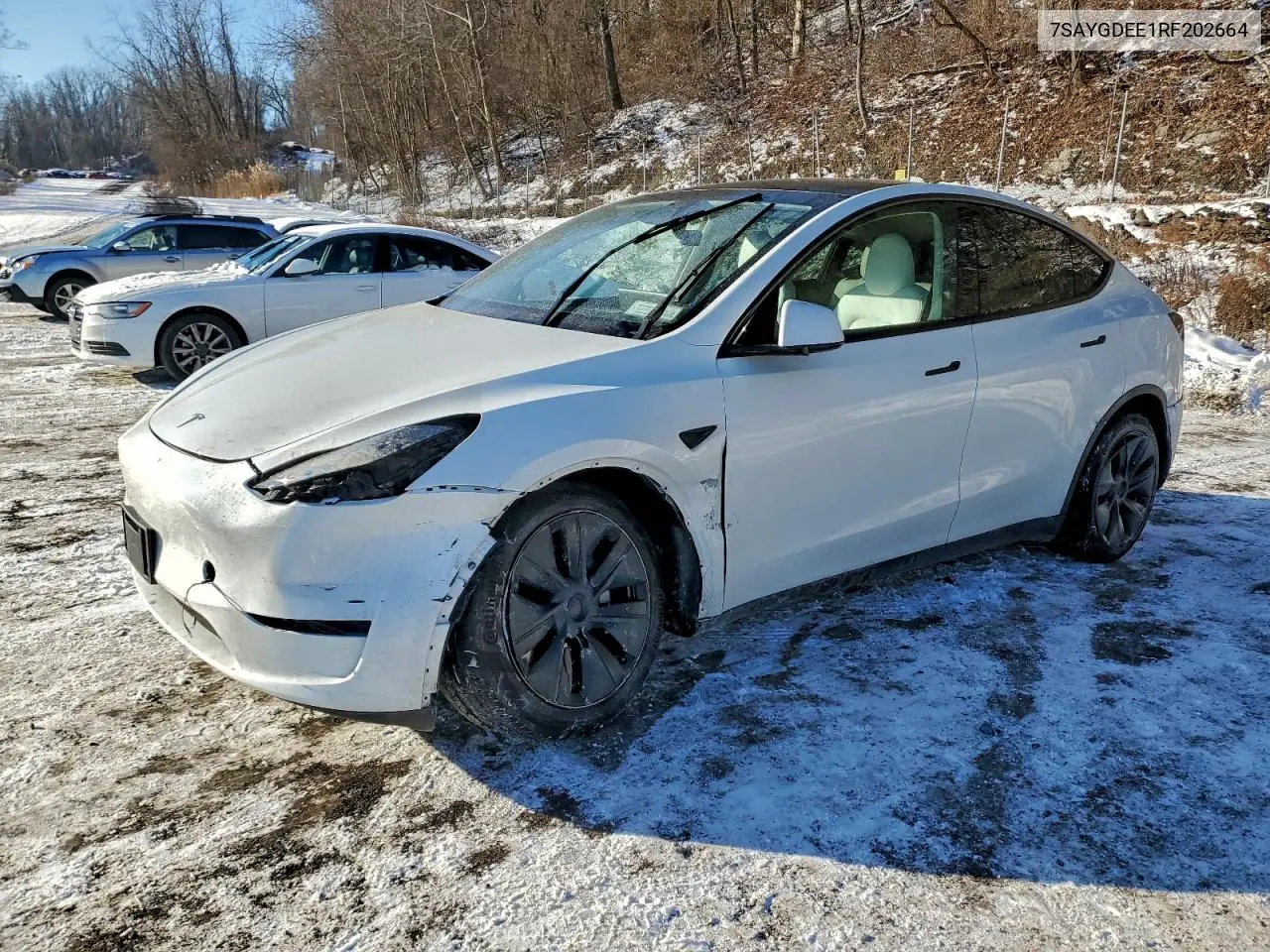 7SAYGDEE1RF202664 2024 Tesla Model Y