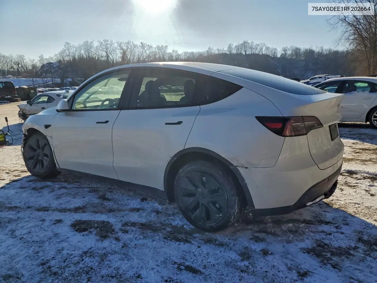 7SAYGDEE1RF202664 2024 Tesla Model Y