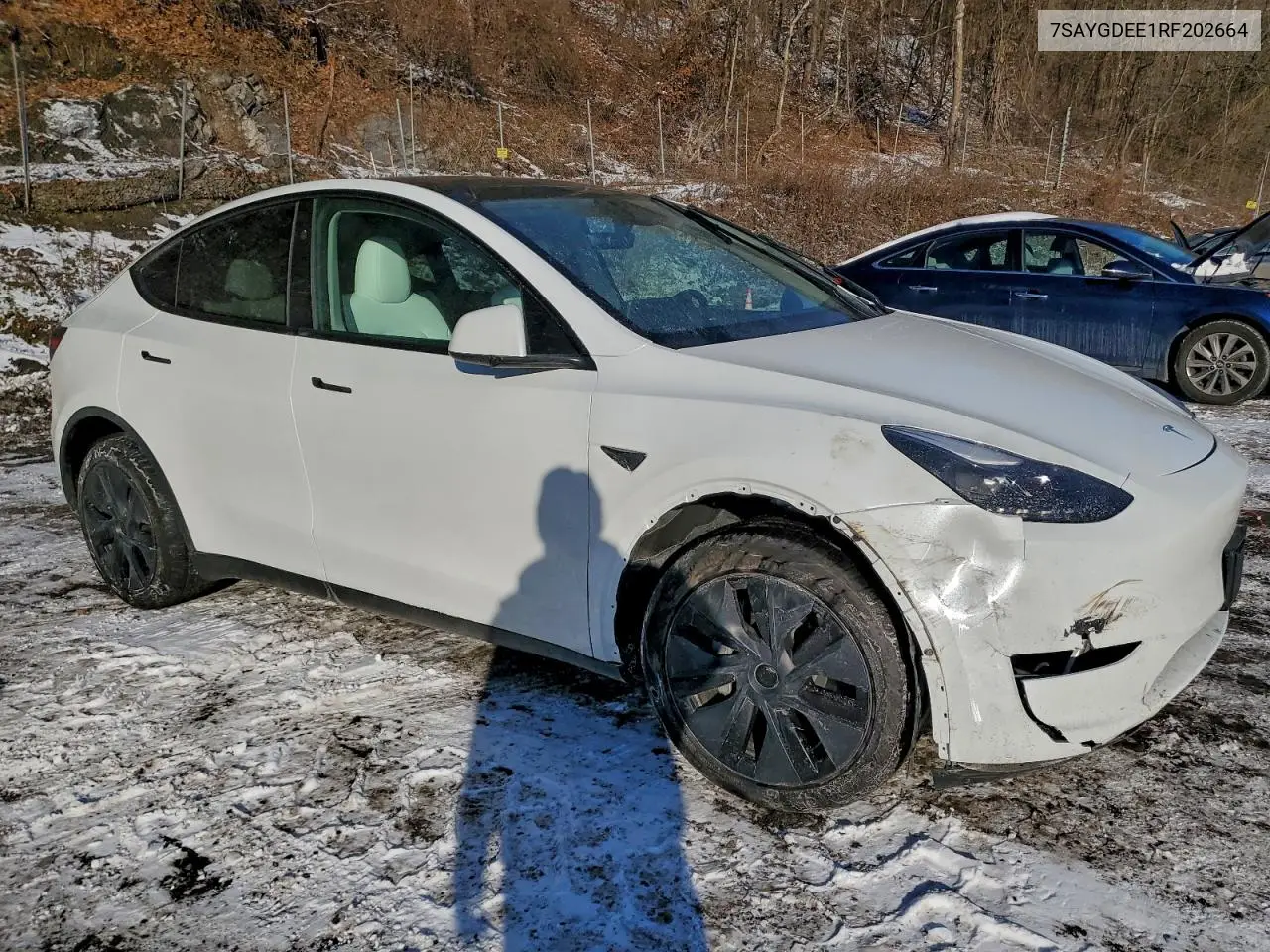 7SAYGDEE1RF202664 2024 Tesla Model Y