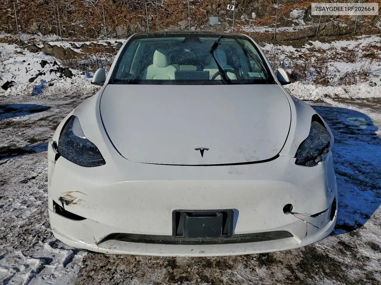 7SAYGDEE1RF202664 2024 Tesla Model Y