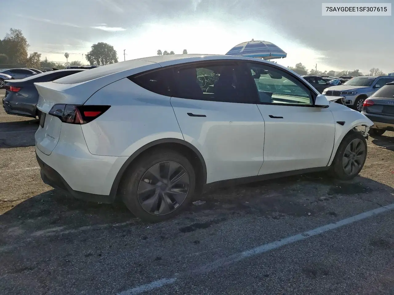 7SAYGDEE1SF307615 2025 Tesla Model Y